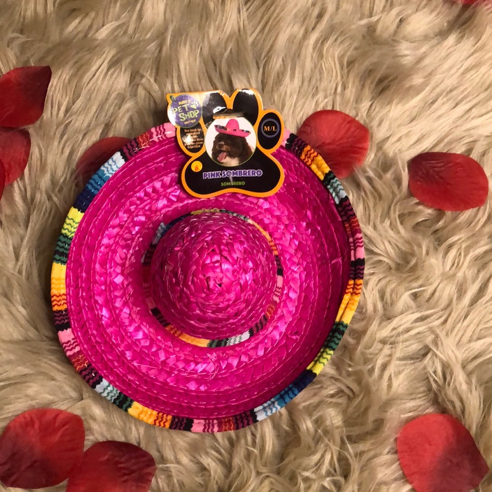 2 for $15 Pet Shop dog fashion sombrero (bundle 2 items)